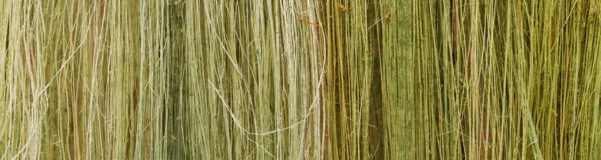 De la Fibre à la Performance : notre Métier