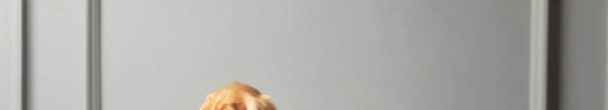 Animat : le tapis de litière absorbant pour vos animaux