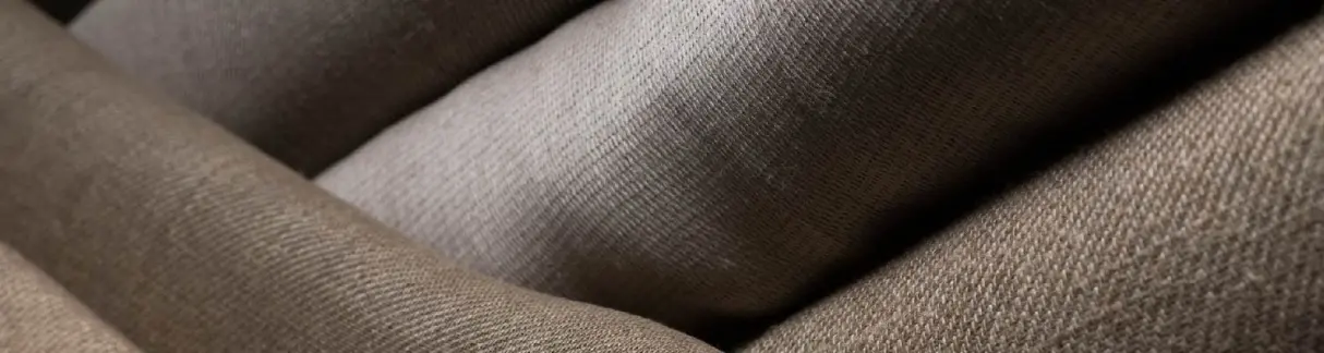 Innovation & développement