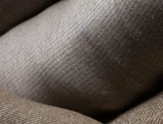 Innovation & développement