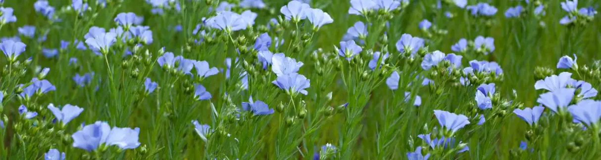 Qualité & environnement au cœur de notre ADN