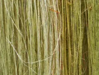 Nos Fibres : Nature & Performance Technique