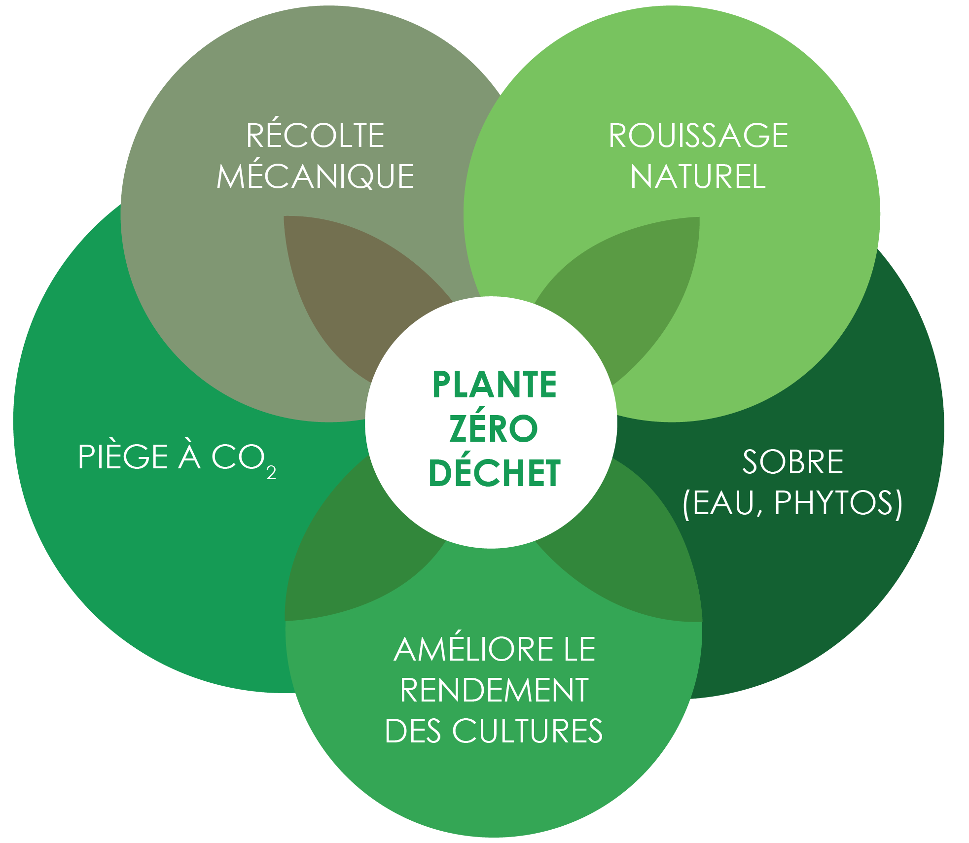 Schema-benefices-fibres-naturelles-FR